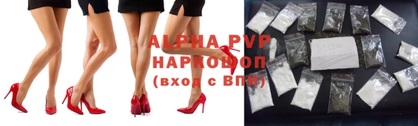 гидра Алексин