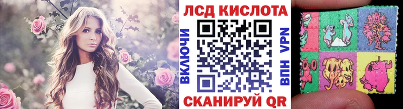 Наркотические марки 1,8мг сколько стоит Кувшиново