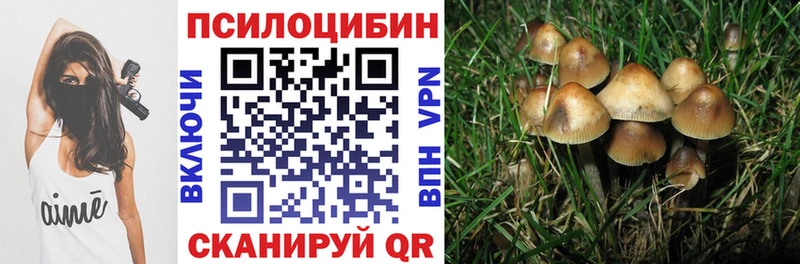 Псилоцибиновые грибы прущие грибы  Кувшиново 